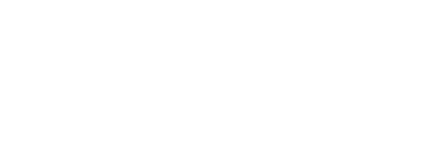 SmartIO